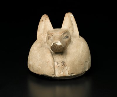 Jackal-headed lock av en baldakinburk (kalksten) av Egyptian