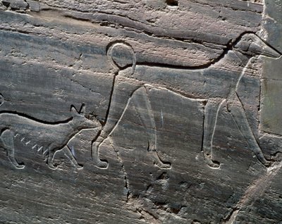 Ett par hundar, relief från ingången, Sarenput II:s grav, Prinsars gravar, Qubbet el-Hawa, Nilens västra strand vid Assuan, Egyptisk civilisation, Mellersta kungariket, Dynasti XII av Egyptian 12th Dynasty