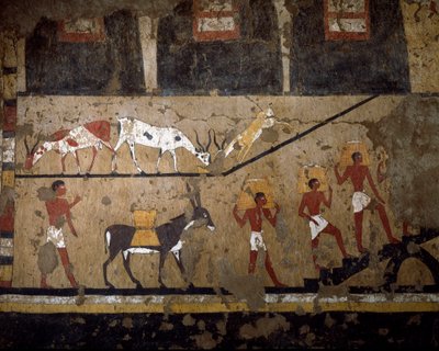 Egyptisk antikvitet: transport av vete på ryggen av mulle och på ryggen av slavar. Fresk av drottning Neferou III:s grav. 12:e dynasti. 2200-2000 f.Kr. Från El Ghebelen. Turin, egyptiskt museum av Egyptian 12th Dynasty