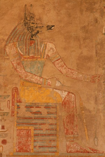Anubis, dödsguden från drottning Hatshepsuts bårhustemplet (ca 1503-1482 f.Kr.) (målad kalksten) av Egyptian 18th Dynasty
