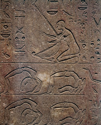 Firande med harpspelare och akrobater, relief, Hatshepsuts röda kapell, rekonstruktion utställd på Karnakmuseet, Egyptisk civilisation, Nya riket, XVIII:e dynastin av Egyptian 18th Dynasty