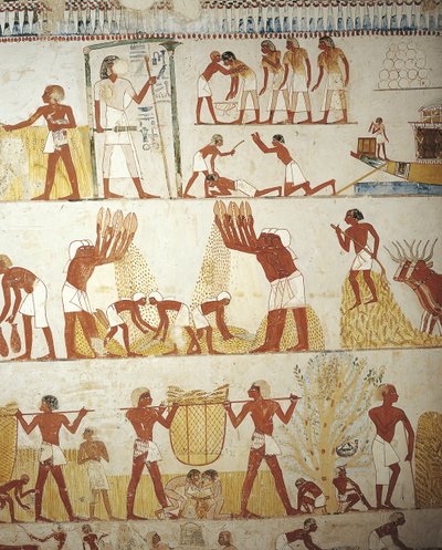 Egypten, Thebe, Luxor, Sheikh 