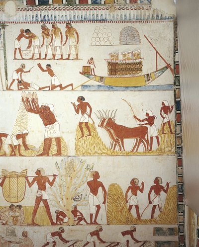 Egypten, Thebe, Luxor, Sheikh 