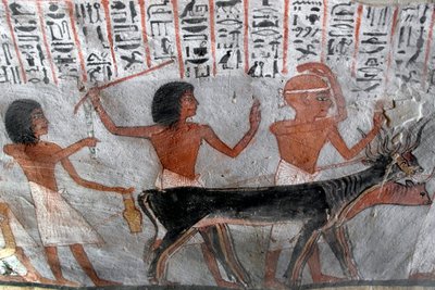 Egyptisk antikvitet: karaktärer som leder betailhuvudena. Målning av Roys grav (TT255). 18:e dynasti. Från västbanken av Luxor, Egypten av Egyptian 18th Dynasty