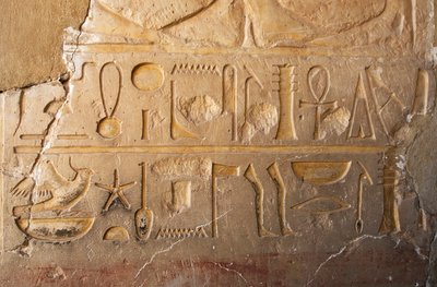 Egyptisk antikvitet: detalj av en inskription med patron och hieroglyfer som representerar långt liv och välstånd. Tempel tillägnat drottning Hatshepsut (Hatshepsut) (1479 f.Kr. - 1457 f.Kr.) Deir el Bahari, Egypten av Egyptian 18th Dynasty