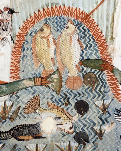 Fisk, detaljer från scenen för jakt och fiske i kärren, fresk, norrvägg, längsgående kammare, Theban Tomb TT69, Sheikh Abd el-Qurna, Thebe (Unescos världsarvslista av Egyptian 18th Dynasty