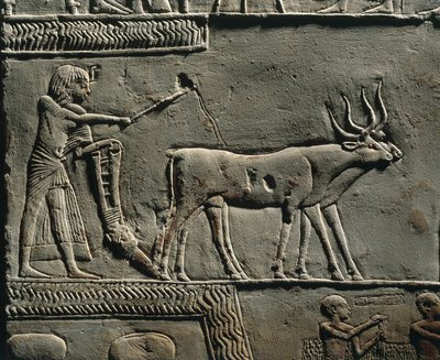 Horemheb plöjer mark på Iarus fält. Relief från Horemhebs grav i Saqqara, detalj. av Egyptian 18th Dynasty