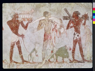 Kushiter som bär hyllningar av guld, elfenben och djurskinn, från graven av Rekhmire, vesir av Tuthmosis III och Amenhotep II, New Kingdom (väggmålning) av Egyptian 18th Dynasty