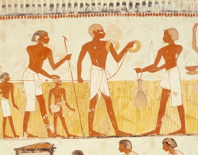 Mätning av landet med hjälp av rep, från gravkapellet i Menna, New Kingdom (väggmålning) (se även 251666) av Egyptian 18th Dynasty