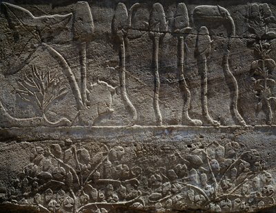 Växter som Thutmosis III tog med sig från sin expedition i Syrien 1465 f.Kr., detalj av relief, salen känd som den så kallade botaniska trädgården, Amuns tempel, Karnaks tempelkomplex, Egyptiska civilisationen, Nya riket, XVIII:e dynastin av Egyptian 18th Dynasty