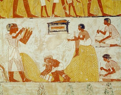 Spela in skörden, från Mennas grav (väggmålning) av Egyptian 18th Dynasty
