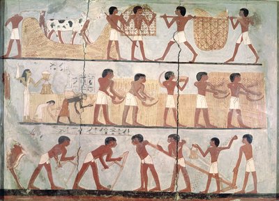 Scener av sådd och skörd, från Unsou Tomb, East Thebe, New Kingdom (ca 1555-1080 f.Kr.) (pigment på lera) av Egyptian 18th Dynasty