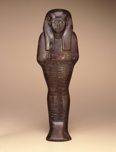 Shawabti av Maya, New Kingdom, c.1390-1353 f.Kr. (trä, färg och glas) av Egyptian 18th Dynasty