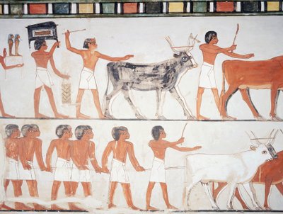 Herdar och boskap, fresk, södra väggen, längsgående kammare, Theban Tomb TT69, Sheikh Abd el-Qurna, Thebe (Unescos världsarvslista av Egyptian 18th Dynasty