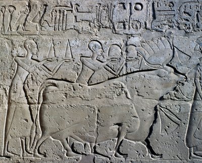 Figurer som symboliserar gruvdistrikt som för sina hyllningar till gud, relief, Ramses II:s innergård, Amuntemplet (Unescos världsarvslista) av Egyptian 19th Dynasty