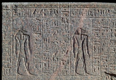 Avbildning av Anubis, detalj av inskription och relief av Anubis och en annan gud, Amenhoteps sarkofag, Memfis, Egypten, Nya riket, XIX:e dynastin av Egyptian 19th Dynasty