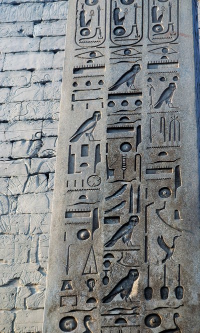 Detalj av obelisk i rosa granit, höjd 25 meter, beställd av Ramses II, Amontemplet, Karnaktempelkomplexet, Luxor, Thebe (UNESCO:s världsarvslista) av Egyptian 19th Dynasty