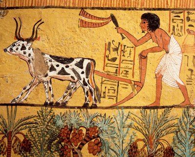 Egypten, Antika Thebe, Deir el-Medina, Sennedjems grav, muralmålning föreställande Sennedjem som plöjer Iarus fält av Egyptian 19th Dynasty