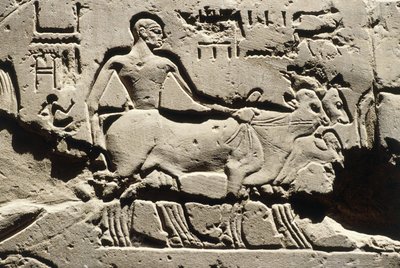 Egypten forntida bes, Luxor, Luxortemplet, Ramses II:s innergård, relief, Nya riket, XIX:e dynastin (1290-1224 f.Kr.) av Egyptian 19th Dynasty