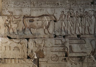 Relief, Ramses II:s tempel, Abydos, Egypten, Egyptisk civilisation, Nya riket, XIX:e dynastin (foto) av Egyptian 19th Dynasty