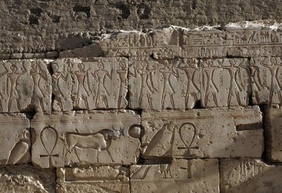 Relief, Ramses II:s tempel, Abydos, Egypten, Egyptisk civilisation, Nya riket, XIX:e dynastin (foto) av Egyptian 19th Dynasty