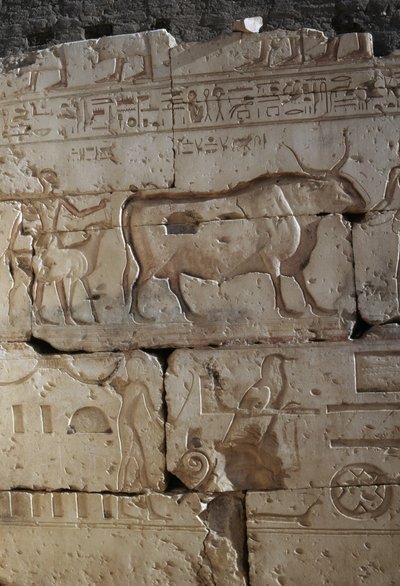 Relief, Ramses II:s tempel, Abydos, Egypten, Egyptisk civilisation, Nya riket, XIX:e dynastin (foto) av Egyptian 19th Dynasty