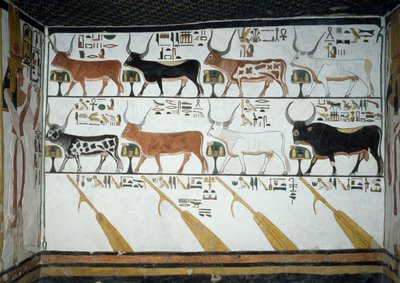 Sju himmelska kor, make-tjur och fyra styråror, kapitel 148 i Book of Dead, detalj från fresker i andra kammaren i Tomb of Nefertari, Valley of Queens, Luxor, Thebe. Egyptisk civilisation, Nya kungariket, dynasti XIX. av Egyptian 19th Dynasty