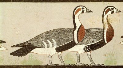 Meidum gäss, från graven av Nefermaat och Atet, Gamla kungariket, c.2620 f.Kr. (målad stuckatur) av Egyptian 4th Dynasty