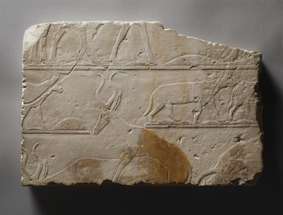 Relief med ökendjur, Gamla kungariket, hittat i Saqqara, ca 2472-2455 f.Kr. (målad kalksten) av Egyptian 5th Dynasty
