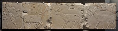 Relief av män som kommer med ökendjur, c.2311-2281 f.Kr av Egyptian 6th Dynasty