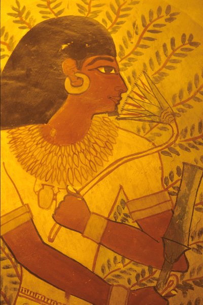 Forntida Egypten, Sennufers grav, Thebe, Luxor, Väggmålning, muralmålning, fresco av Egyptian Egyptian