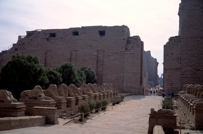 Egyptisk antikvitet: allee (dromos) af criosphinxen (sfinxen i spidsen af beliers) i Karnak, Luxor, Egyptswed av Egyptian Egyptian