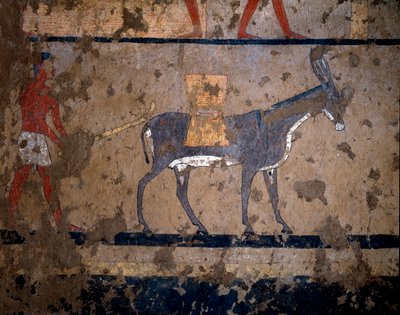 Egyptisk antikvitet: "" transporten av spannmål på ryggen av en mula""" Temperamålning av väggen i graven av kung Itis (eller Ity) 2200-2000 f.Kr. Från El Ghebelen, Luxor. Turin, egyptiskt museum av Egyptian Egyptian