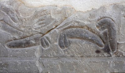 Högar med manliga könsorgan som skurits av fienden, Horustemplet, Edfu av Egyptian Egyptian