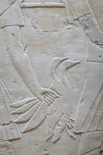 Hand som håller 2 gäss i vingarna, Ramoses grav av Egyptian Egyptian