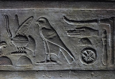 Hieroglyps, faraos bi och Horus-falken, Horus-templet, Edfu av Egyptian Egyptian