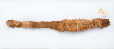 Mumie av en krokodil, hittad i Manfalont, 305-30 f.Kr. (djurrester och linne) av Egyptian Ptolemaic Period