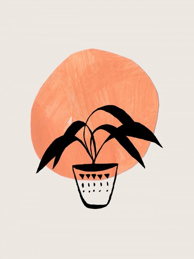 Boho-krukväxt av Ejaaz Haniff