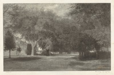 New England Elms av Elbridge Kingsley