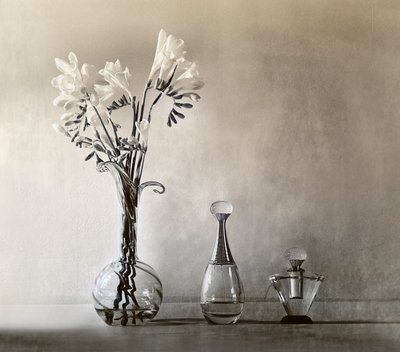 Eleganta blommor och parfym av Elena Arjona