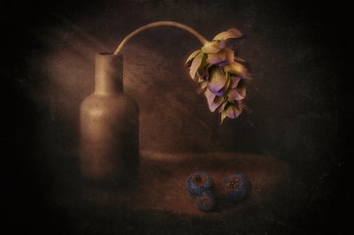 Blomvasen ”Moody” av Elena Arjona