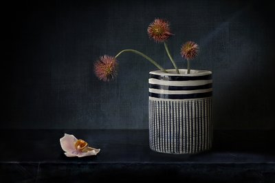 Stämningsfulla, taggiga blommor av Elena Arjona