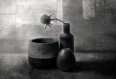 Moody Thistle-fartyg av Elena Arjona