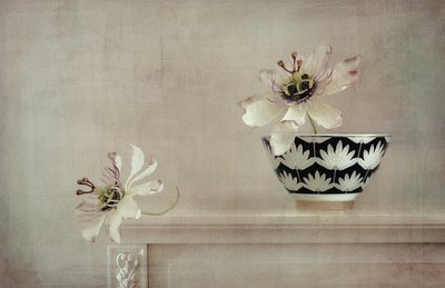 Stilleben med passionsblomma av Elena Arjona