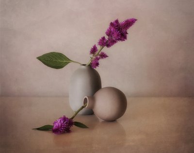 Lugna blomvaser av Elena Arjona
