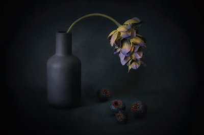 Blommor och bär i skuggan av Elena Arjona