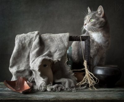 Vintage-stilleben med katt av Eleonora Grigorjeva