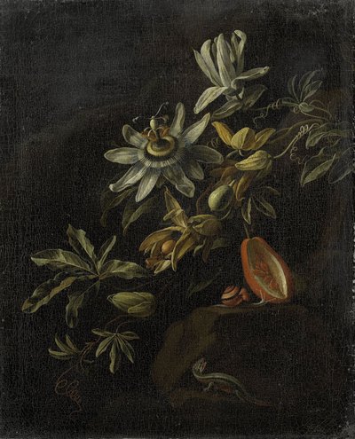 Stilleben med passionsblommor av Elias van den Broeck