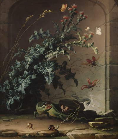 Stennisch med tistel, ödla och insekter, 1690 av Elias van den Broeck