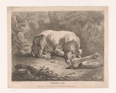 sovande hund Phylax (titel på objekt) av Élie du Mesnil